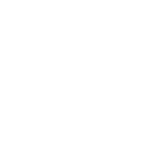 Rekisteröity tavaramerkki